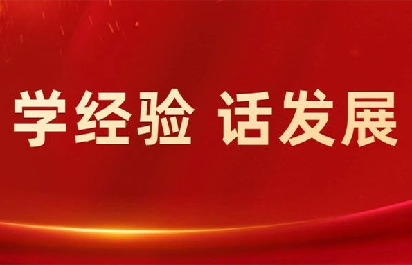 【學經驗 話發展】全市鎮村黨組織書記學習“千萬工程”經驗心得體會（第七期）